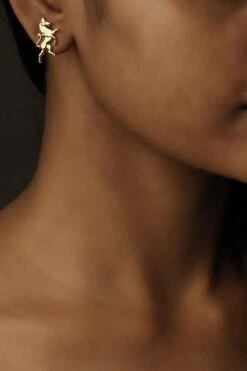 Eina Ahluwalia Warriors & Crusaders Golden Earrings -Celestiagem Jewelry Shop 65ea28 2